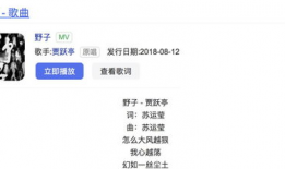 91骚女直播自慰百度云,网络直播的道德边界与监管挑战