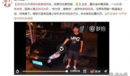 老司机吃瓜爆料央视视频,老司机吃瓜爆料背后的真相